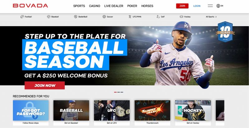 MLB Betting Guide